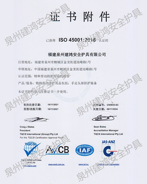 職業(yè)健康安全管理體系證書附件